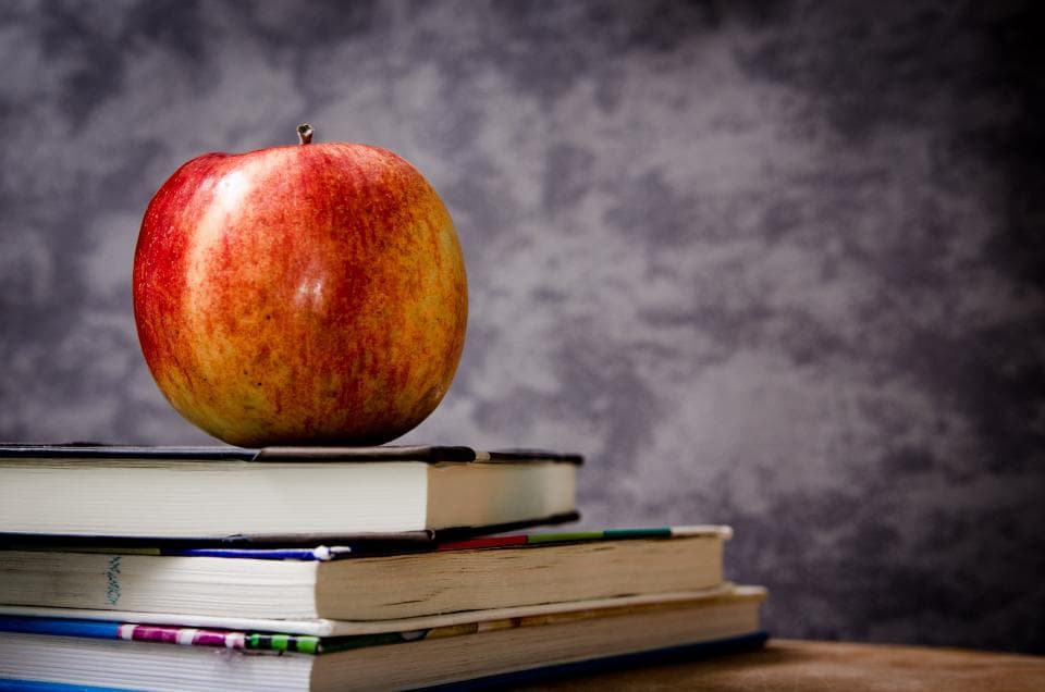 Escuelas y academias